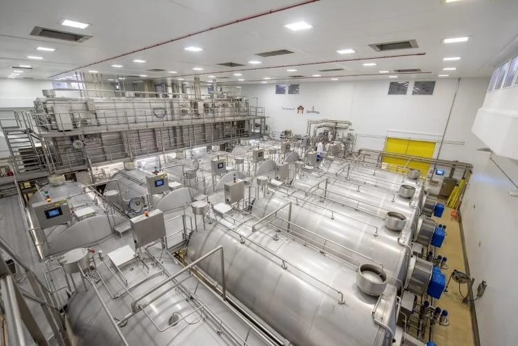 Dairy Production